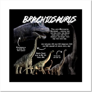 Brachiosaurus Fun Facts Posters and Art